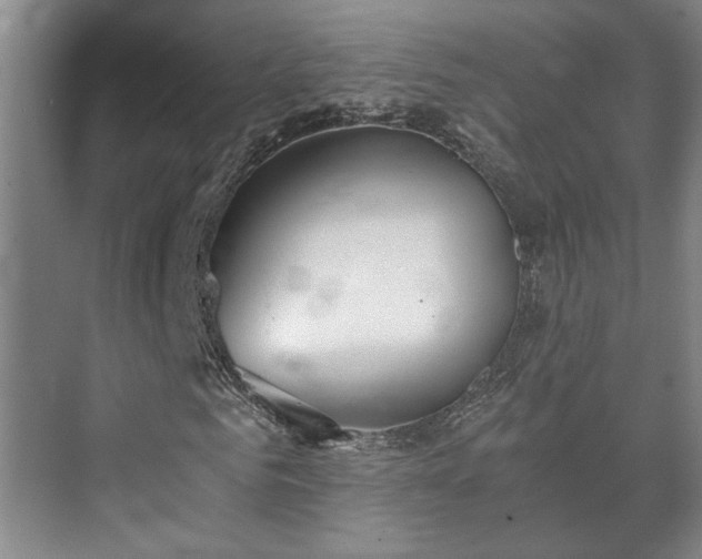 X0000073410961200608040954