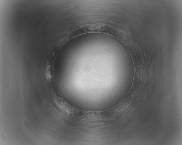 X0000073410962200608040954