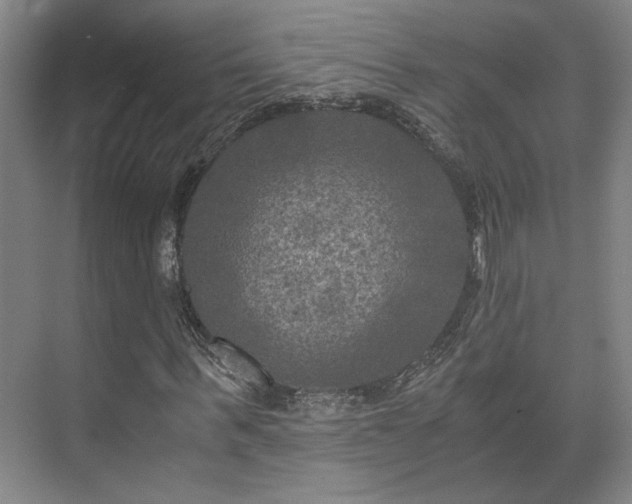 X0000073410963200608040954