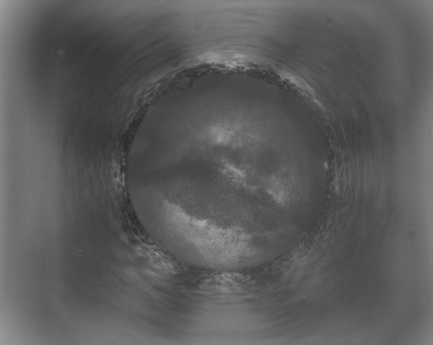 X0000073410966200608040954