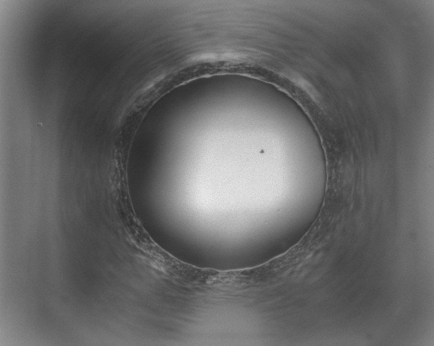 X0000073410967200608040954