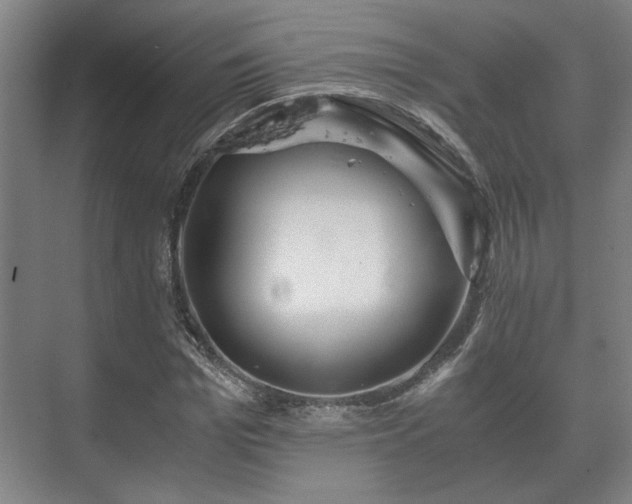 X0000073410969200608040954