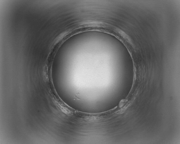 X0000073410970200608040954