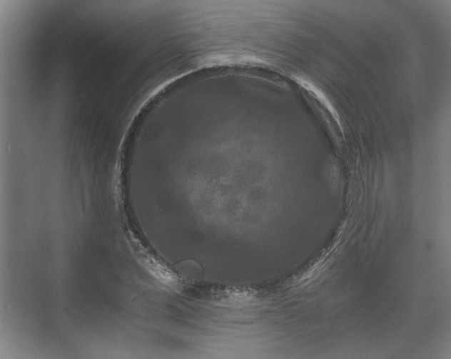 X0000073410975200608040954