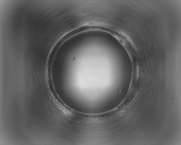 X0000073410976200608040954