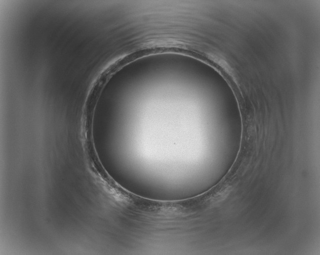 X0000073410979200608040954