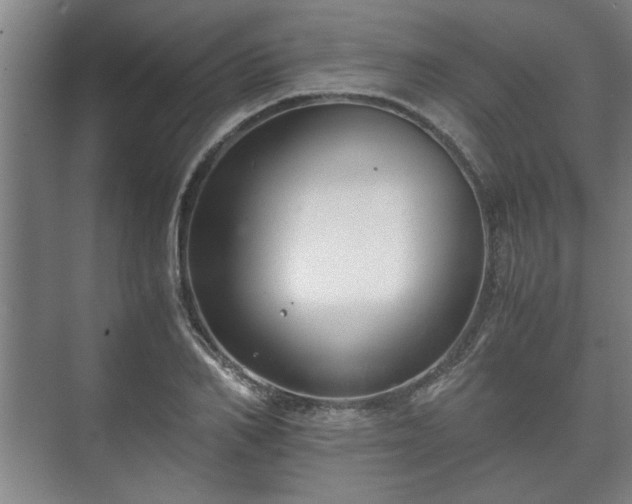 X0000073410982200608040954