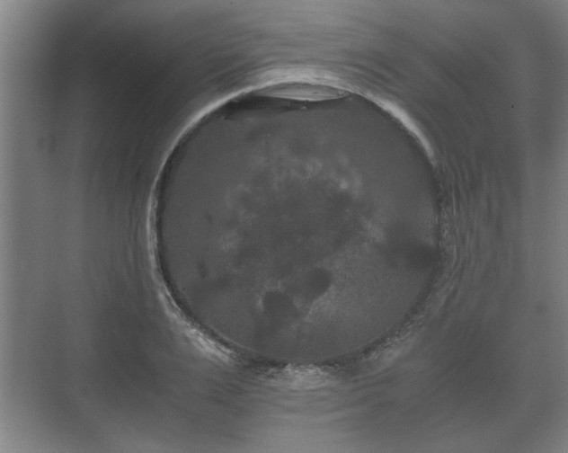 X0000073410983200608040954