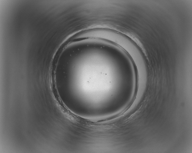 X0000073410984200608040954