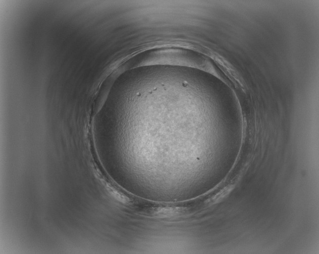 X0000073410985200608040954