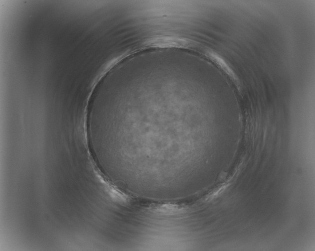 X0000073410986200608040954