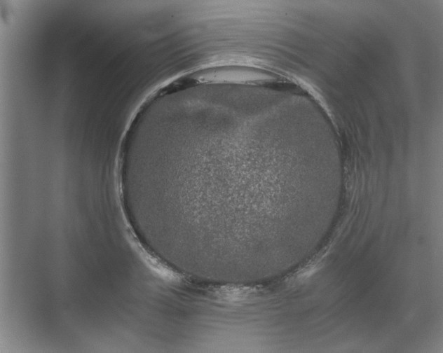 X0000073410987200608040954