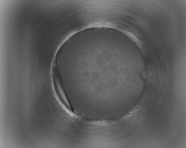 X0000073410990200608040954