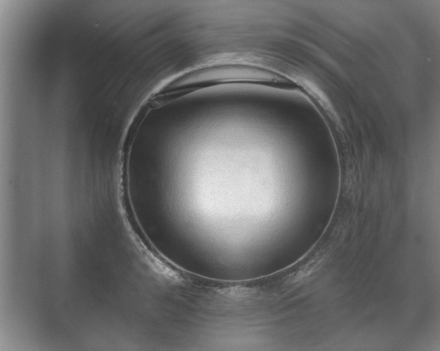 X0000073410992200608040954