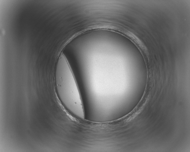 X0000073410993200608040954