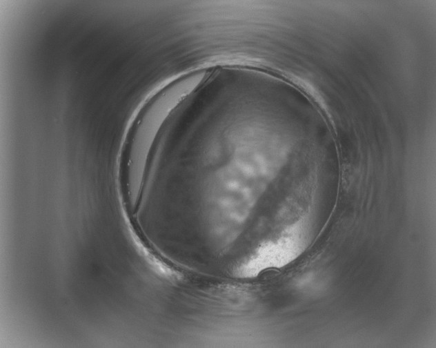 X0000073410995200608040954