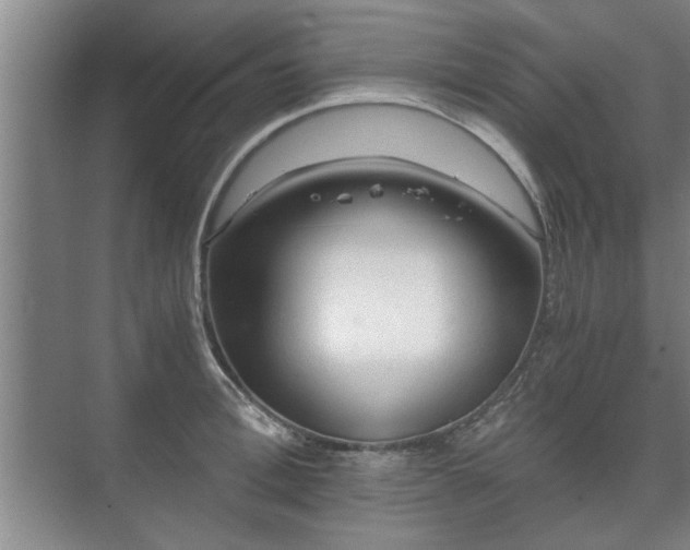 X0000073410996200608040954