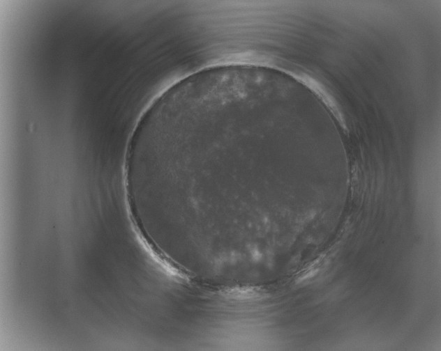 X0000073410998200608040953