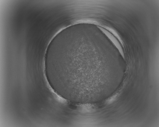 X0000073410999200608040953