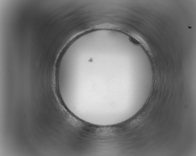 X0000073411000200608040953