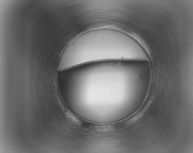 X0000073411001200608040953