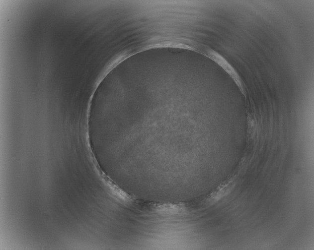 X0000073411002200608040953