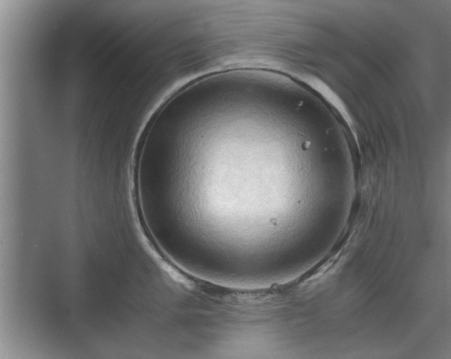 X0000073411005200608040953