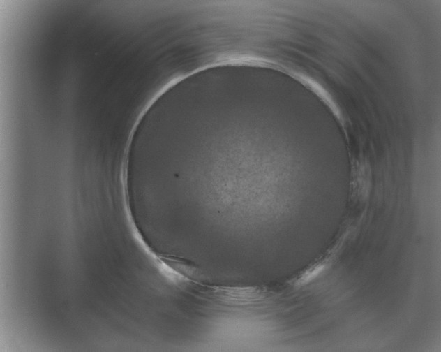 X0000073411007200608040953