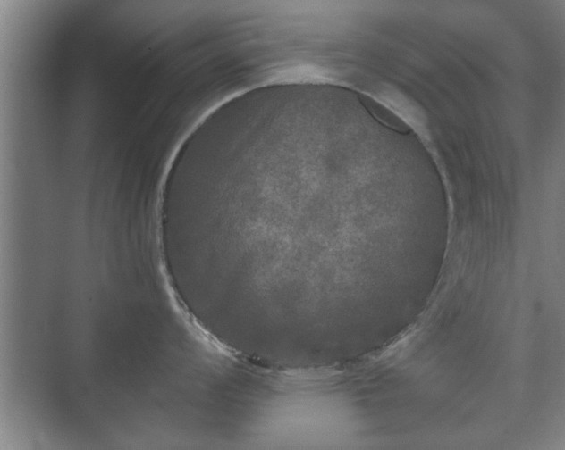 X0000073411008200608040953