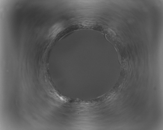 X0000073411009200608040953