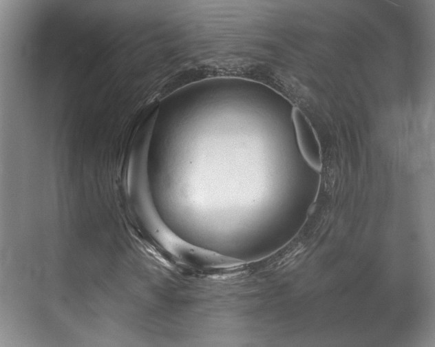 X0000073411010200608040953