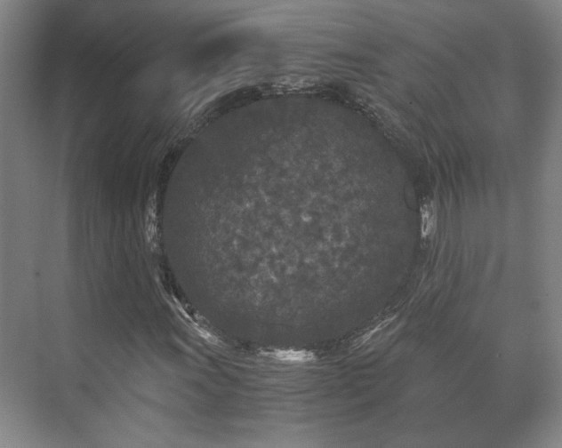 X0000073411011200608040953