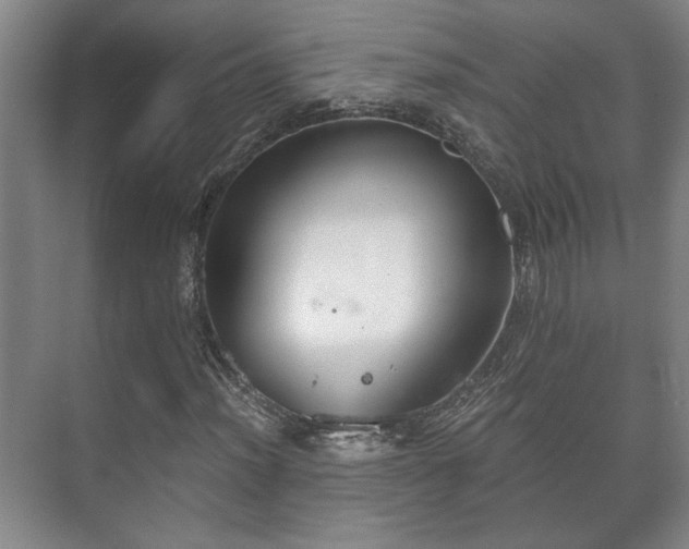 X0000073411012200608040953