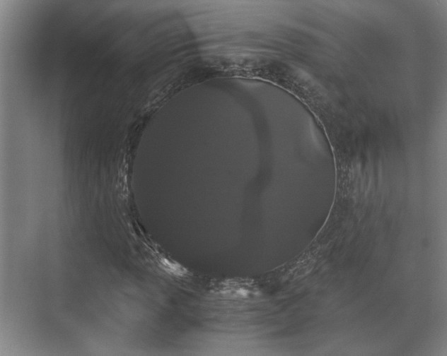 X0000073411013200608040953