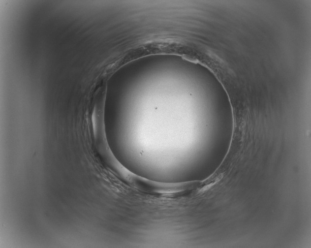 X0000073411014200608040953