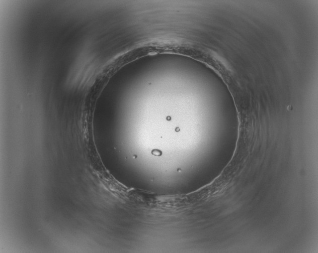 X0000073411016200608040953