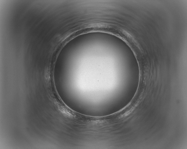 X0000073411017200608040953