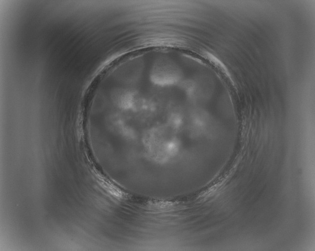 X0000073411019200608040953