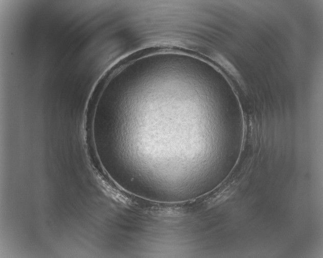 X0000073411020200608040953