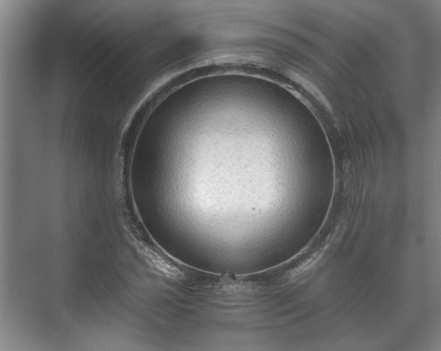 X0000073411021200608040953