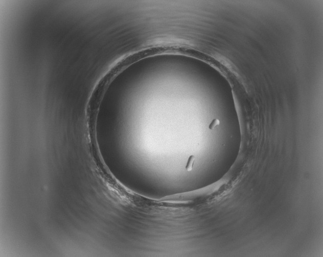 X0000073411022200608040953