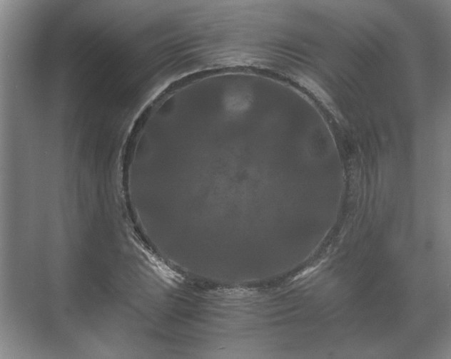 X0000073411023200608040953