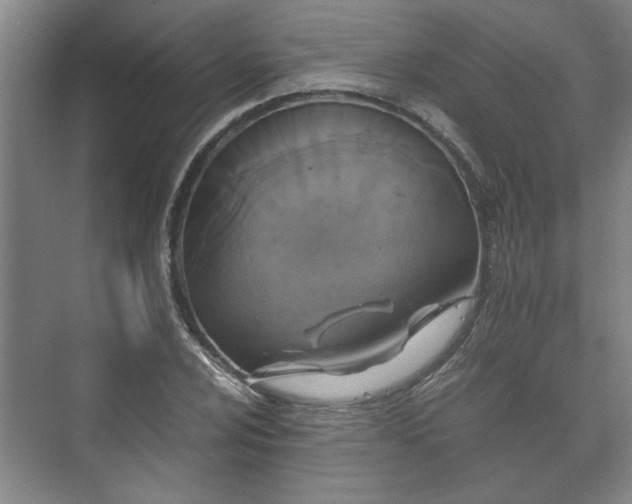 X0000073411024200608040953