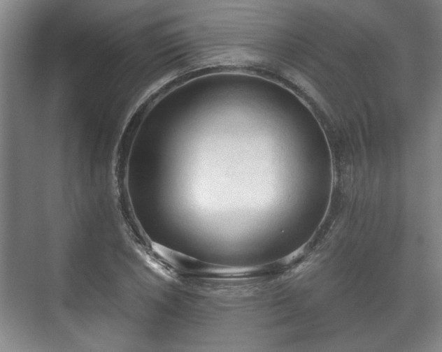 X0000073411026200608040953