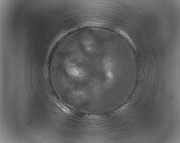 X0000073411027200608040953