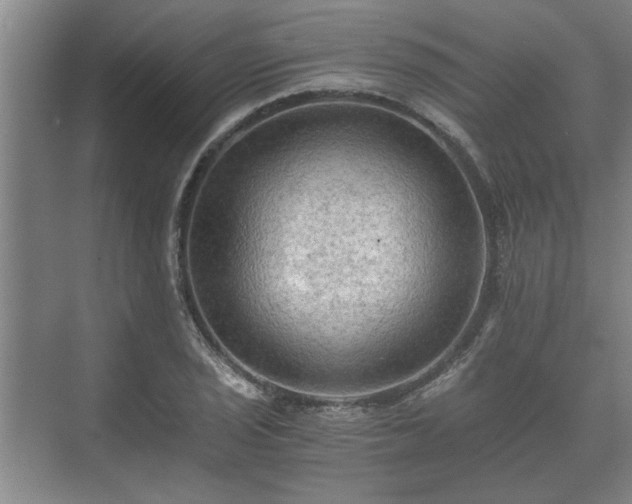 X0000073411029200608040953