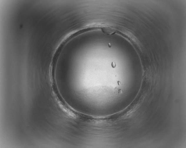 X0000073411030200608040953