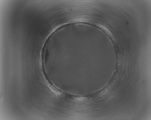 X0000073411031200608040953