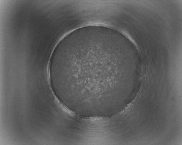 X0000073411032200608040953