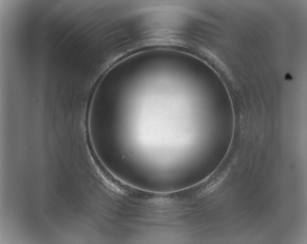 X0000073411033200608040953